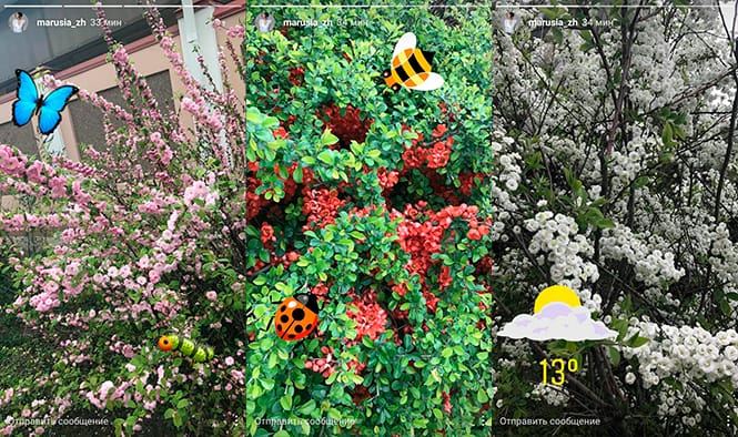 flowers.jpg flowers.jpg